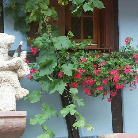 Chambres D'Hotes Ruhlmann Dambach Zewnętrze zdjęcie