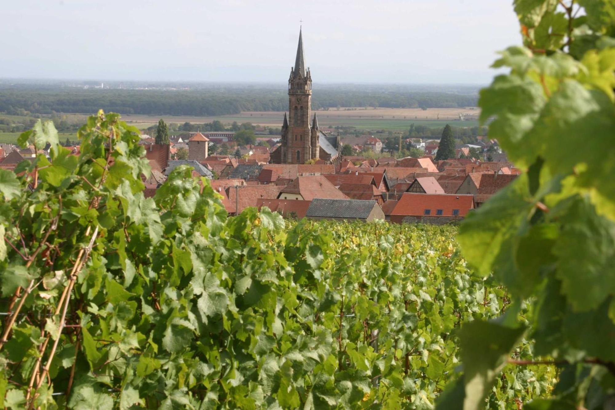 Chambres D'Hotes Ruhlmann Dambach Zewnętrze zdjęcie